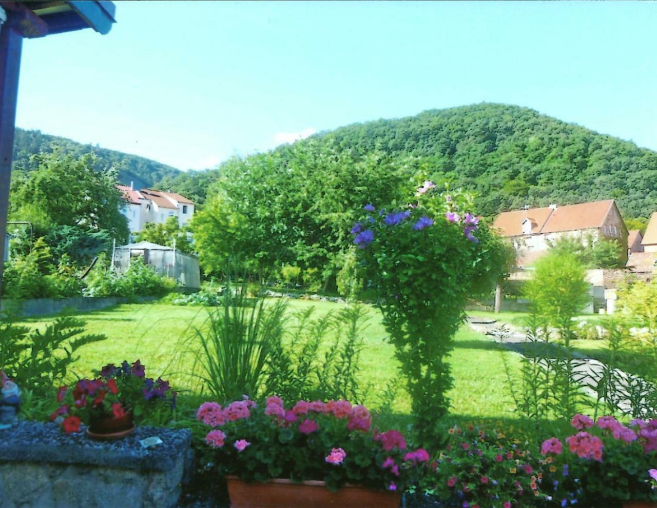 Ferienwohnung Bergblick - Inklusive Bodetal Therme Thale Dış mekan fotoğraf